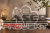 25-p_2026-4.png
